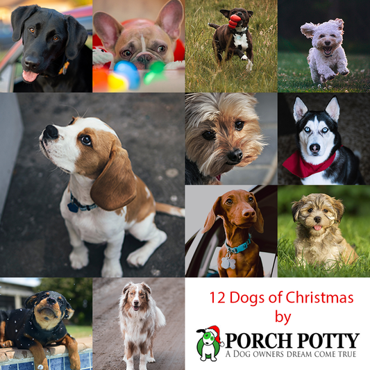 The 12 Dogs of Christmas