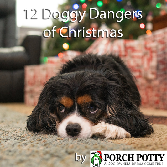 THE 12 DOGGY DANGERS OF CHRISTMAS