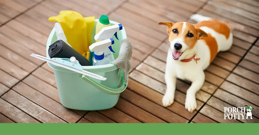Dog-Friendly Cleaning Solutions for a Healthy, Happy Home