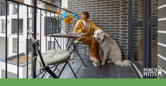 A massive Labrador Retriever mix sits on the balcony with its owner