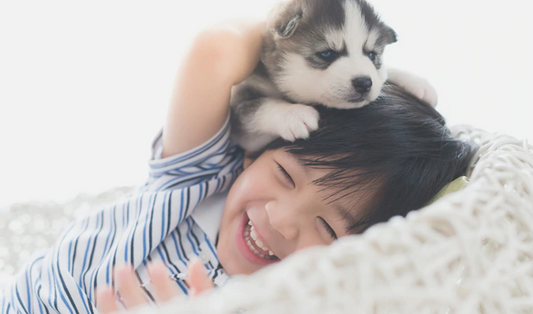 7 Endearing Ways Dogs Show Love Towards You