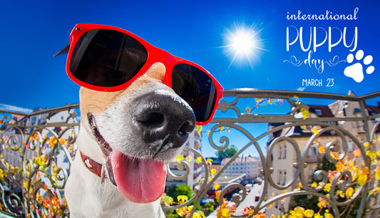 Show Us Your Pup's Awesome Personality and Win Big!