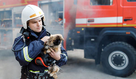 Fire Safety for Pet Parents: How to Be Prepared and Stay Safe