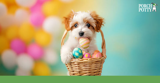 A puppy sits in an Easter basket of colorful eggs