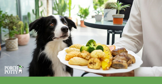 A dog watching a plate of fried foods, vegetables, and meats being served at a table.