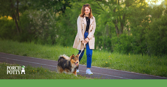 What Are the Benefits of Walking My Dog?