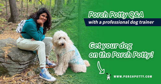 Get to Know Toronto's Own Siddhika Bhat 𑁋 Porch Potty Dog Trainer Q&A