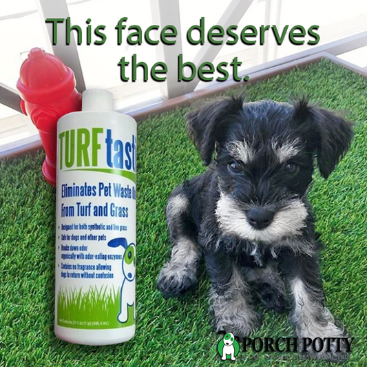 TURFtastic: the first enzymatic cleaner specially formulated for dog potties
