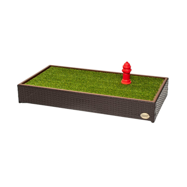 Dog toilet box 2025