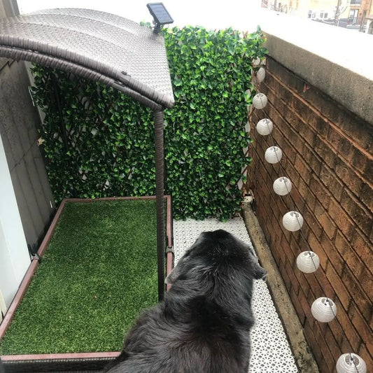 gid://shopify/MediaImage/28640849395790