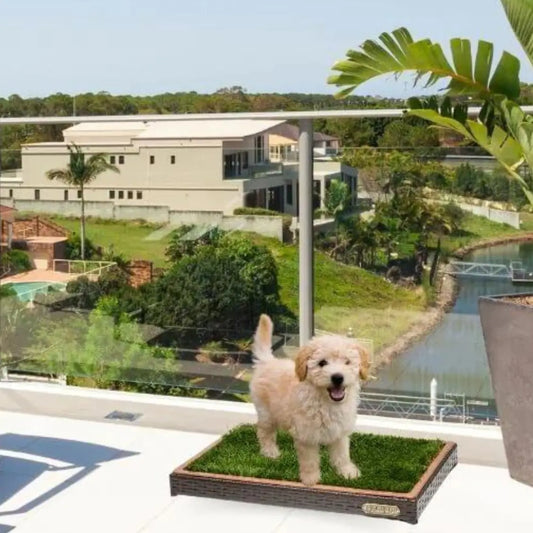 gid://shopify/MediaImage/28640070139982