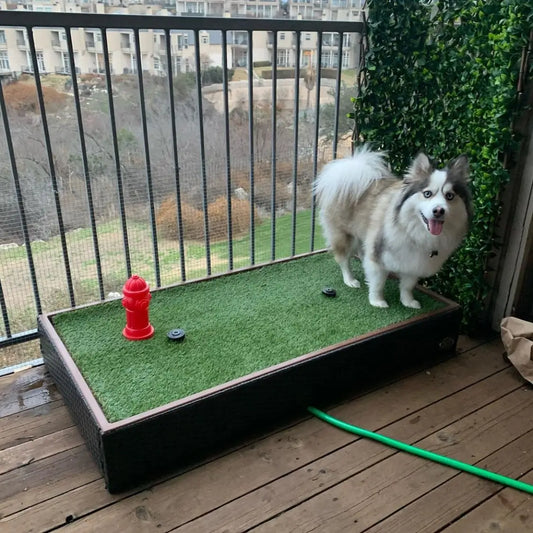 gid://shopify/MediaImage/28639285018702