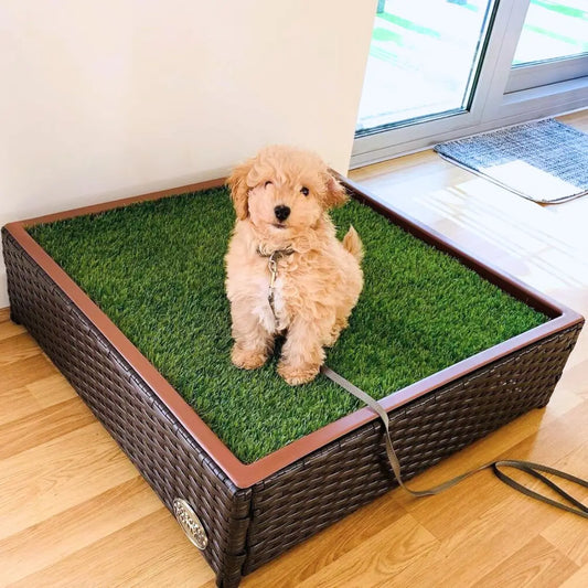 gid://shopify/MediaImage/28639382175822