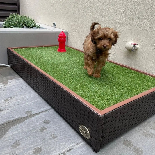 gid://shopify/MediaImage/28599175544910