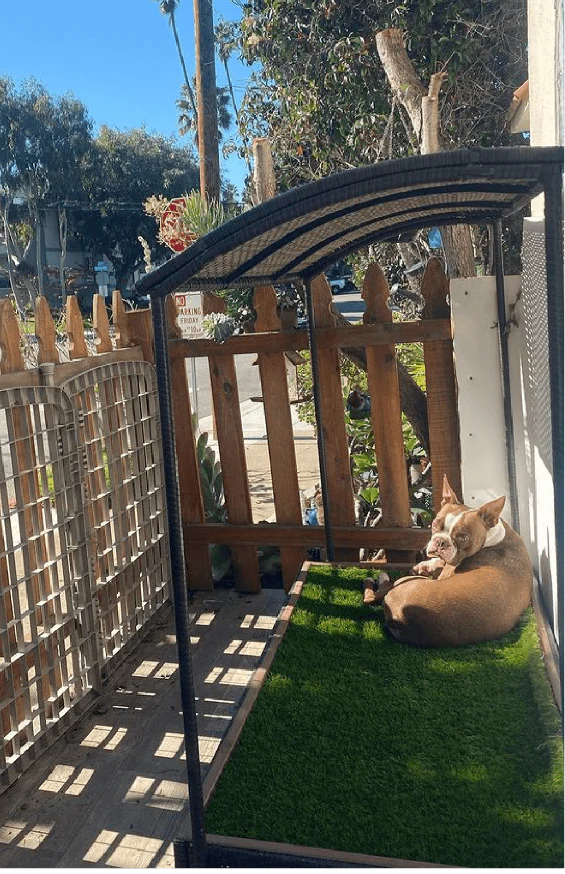 Porch Potty Premium Porch Potty CA