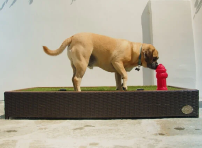 Porch potty premium reviews clearance